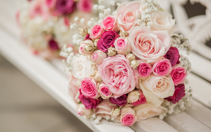 Zbiórka Weselny bukiet dla zwierząt - zdjęcie główne