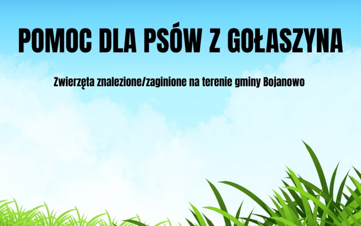 Zbiórka Pomoc dla psów gm. Bojanowo - zdjęcie główne