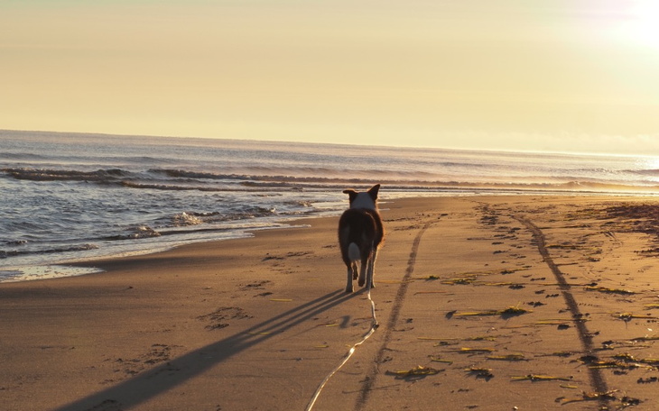 Zbiórka Wyjazd Italia- nowy start - zdjęcie główne