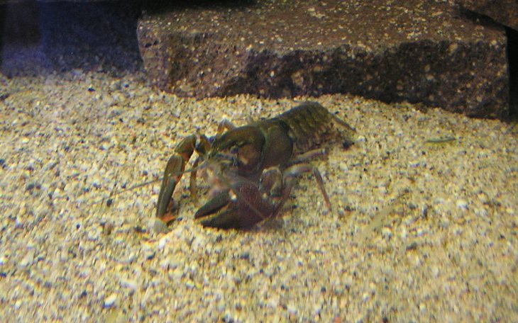 Zbiórka maja hot 19 - zdjęcie główne