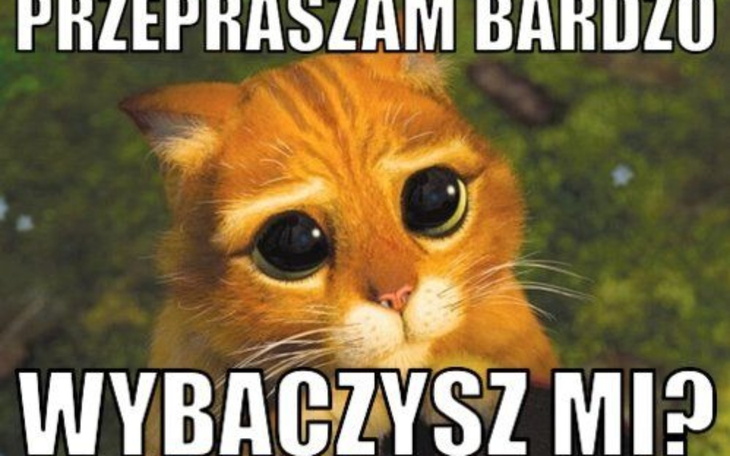 Kot z dużymi, smutnymi oczami, proszący o wybaczenie.