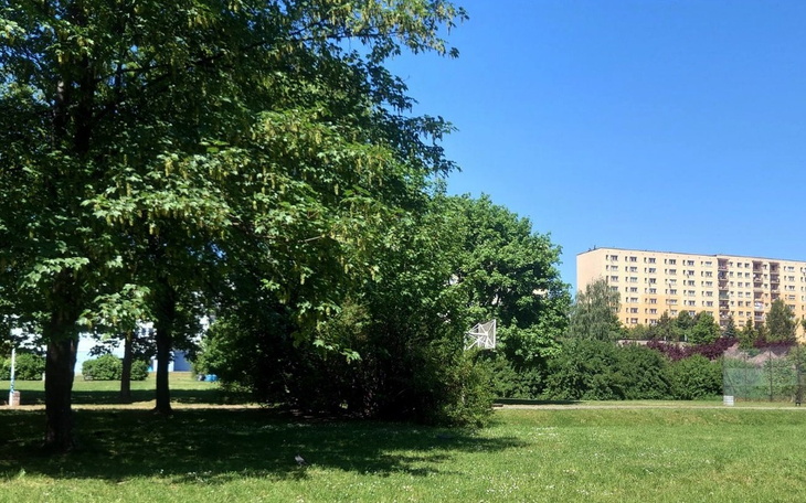 Zbiórka Rybnicka mapa drzew - zdjęcie główne