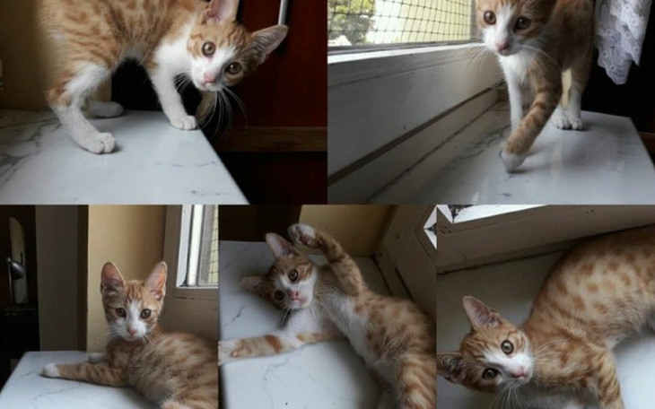 Zbiórka Pomoc dla maleńkiego Kubusia - zdjęcie główne