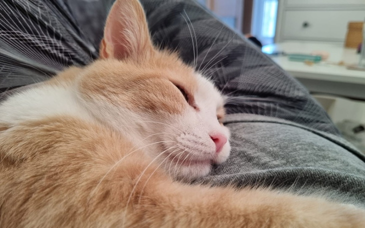 Zbiórka Tajna zbiórka na Janusza - zdjęcie główne