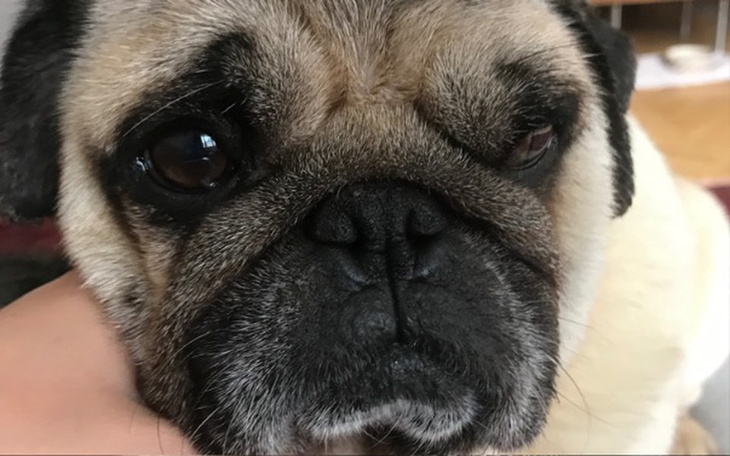 Zbiórka Dla Grubego - zdjęcie główne