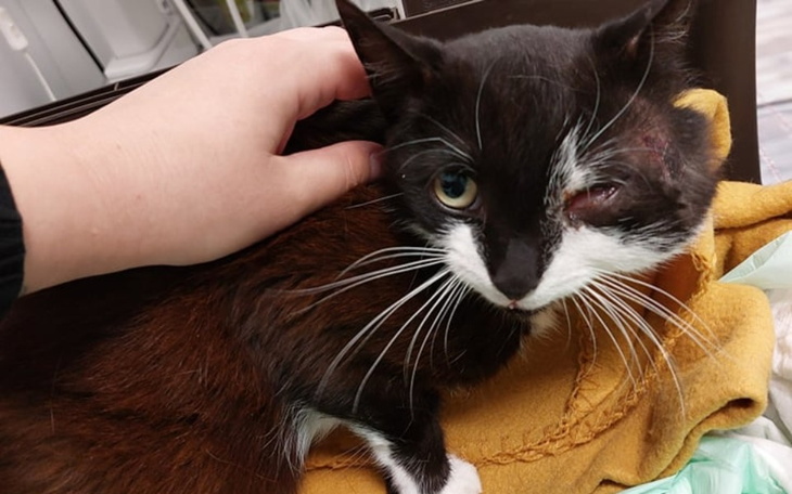 Zbiórka Proszę o szansę - chcę żyć... - zdjęcie główne