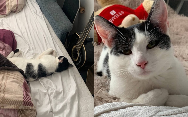 Zbiórka Marsik - zdjęcie główne