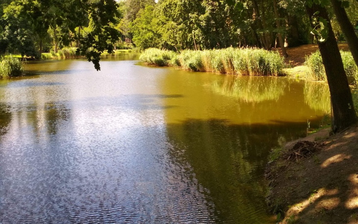 Zbiórka Zbieram dla rodziny - zdjęcie główne
