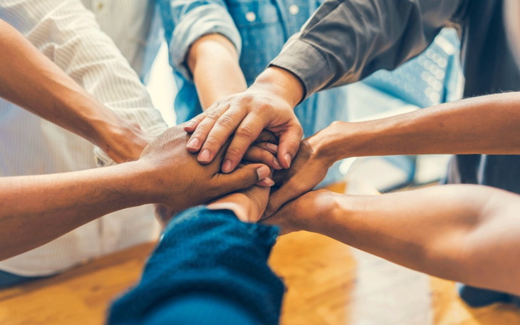 Zbiórka Projekt pomocy schroniskom - zdjęcie główne