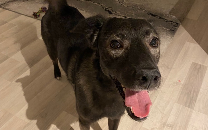 Zbiórka For Kiras Gastroscopy - zdjęcie główne