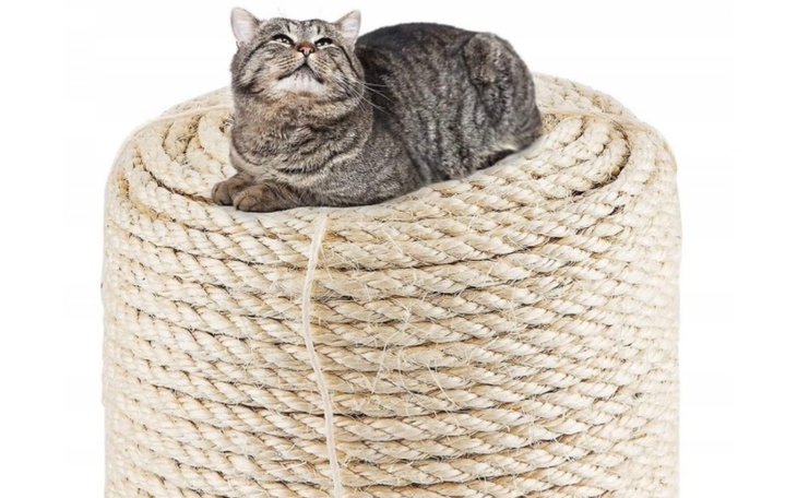 Kot leżący na dużej rolce sznura, zrelaksowany i zadowolony.