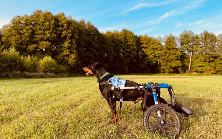 Zbiórka aRes dla Powodzian - zdjęcie główne