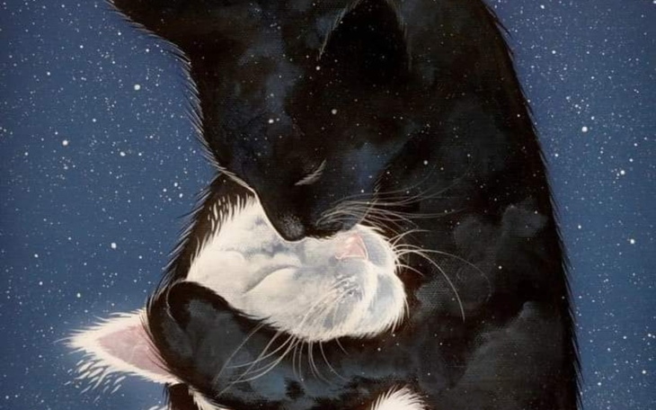 Zbiórka Na dalszą drogę tranzycji - zdjęcie główne