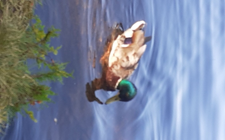 Zbiórka Dla poprawy sytuacji potrzebując - zdjęcie główne