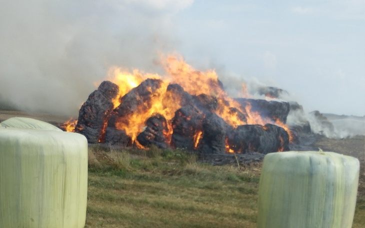 Zbiórka Pomoc po pożarze słomy i siana - zdjęcie główne