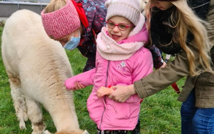 Zbiórka Fotelik rehabilitacyjny Nikoli - zdjęcie główne
