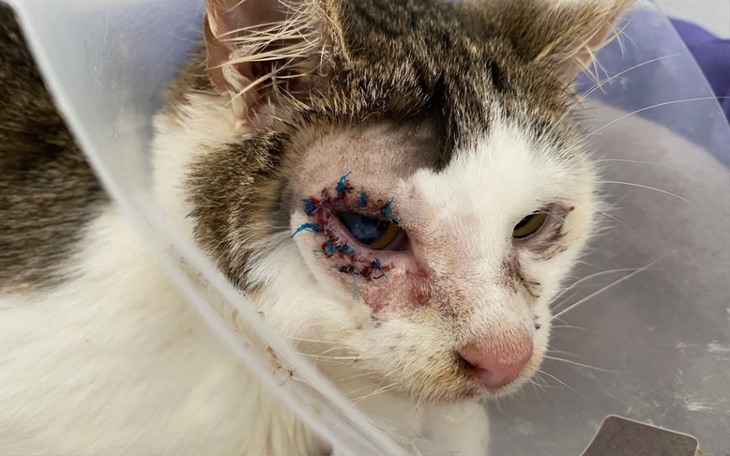 Zbiórka Bezdomność i cierpienie - zdjęcie główne