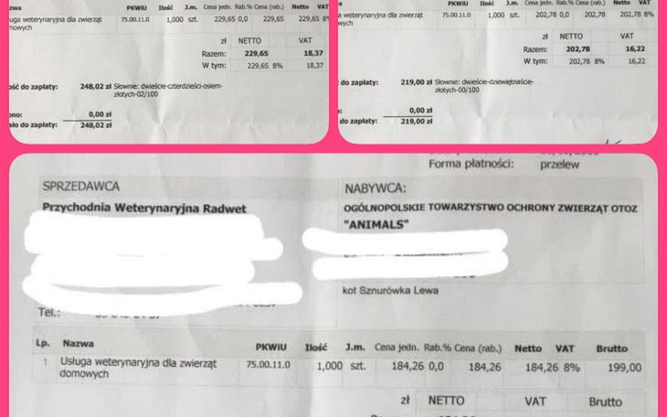 Zbiórka Błagamy o pomoc w opłaceniu FV - zdjęcie główne