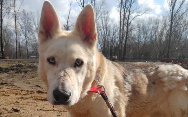 Zbiórka Jestem RED, mogę zaraz UMRZEĆ - zdjęcie główne