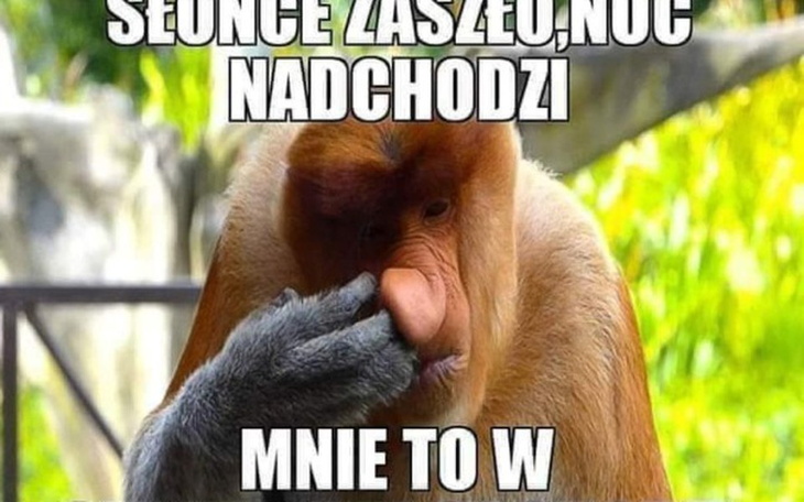 Zbiórka Pomoc dla mojej kochanej mamusi - zdjęcie główne