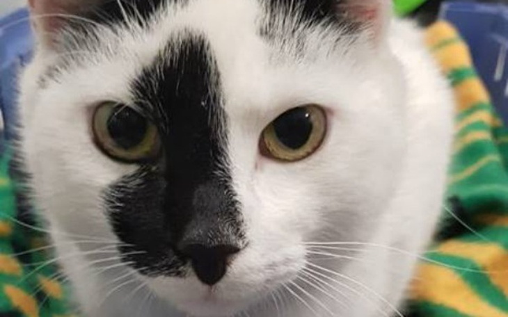 Zbiórka Miki zbiera na rehabilitację - zdjęcie główne