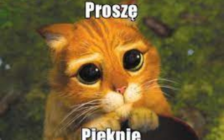 Zbiórka nie mam żródła zarobku pomóż plz - zdjęcie główne