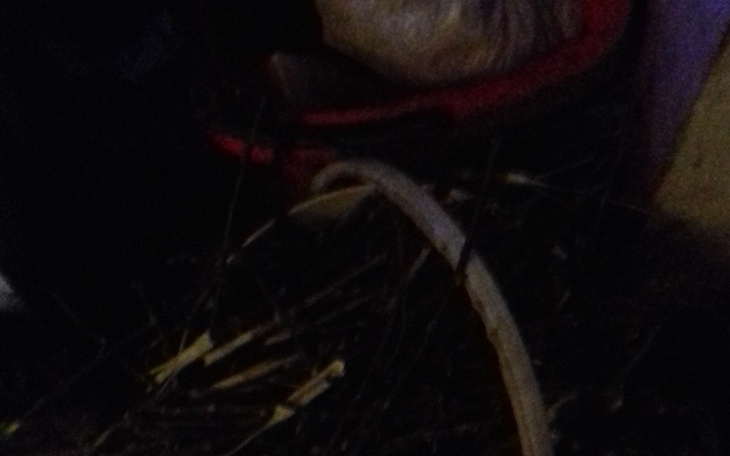 Zbiórka Opał i węgiel - zdjęcie główne