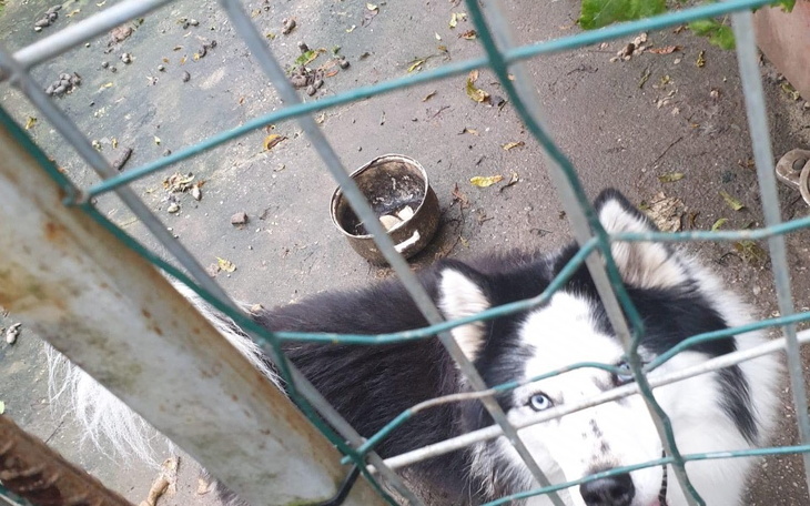 Zbiórka Joker - zdjęcie główne