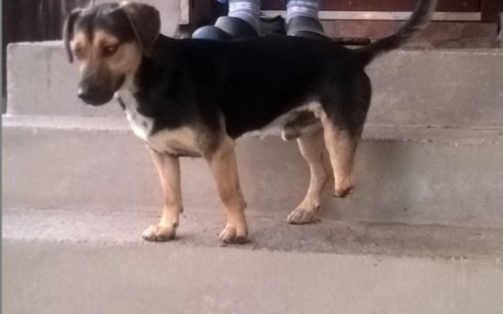 Zbiórka Ratujmy małego Fredzia! - zdjęcie główne