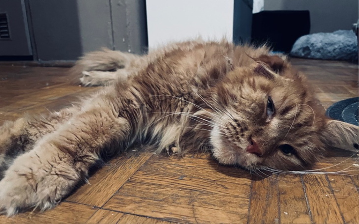 Zbiórka Walczymy o zdrowie Skazy - zdjęcie główne