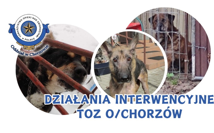 Plakat z interwencjami dla zwierząt w Chorzowie.