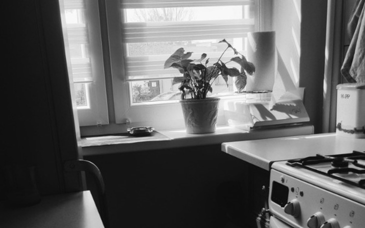 Zbiórka .. . . . - zdjęcie główne