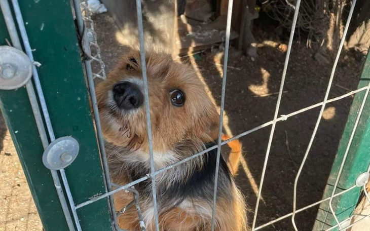 Zbiórka Zakończmy 6-letni koszmar FIBI - zdjęcie główne