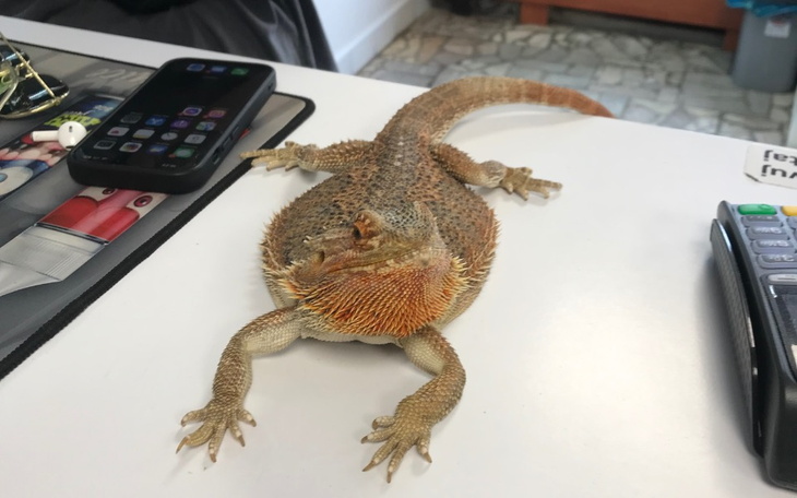 Zbiórka Splata moich glupich dlugow - zdjęcie główne