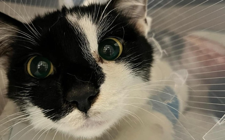 Zbiórka Cześć Jestem Bobuś - zdjęcie główne