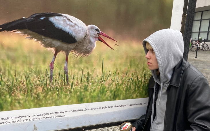 Zbiórka na tranzycje dla trans chłopa - zdjęcie główne