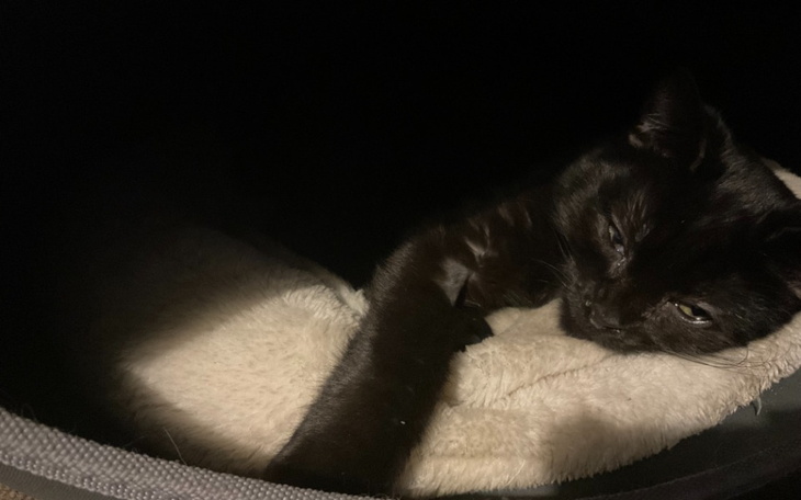 Zbiórka Prezeska potrzebuje pomocy - zdjęcie główne