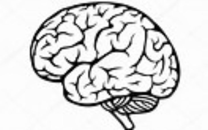 Zbiórka Na leczenie mozgu sami - zdjęcie główne