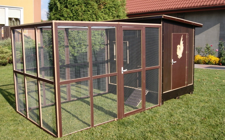 Zbiórka Zbieramy na wybiegu dla zwierząt - zdjęcie główne