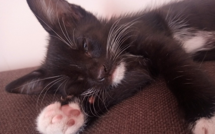 Zbiórka Paczka pełna miłości - zdjęcie główne