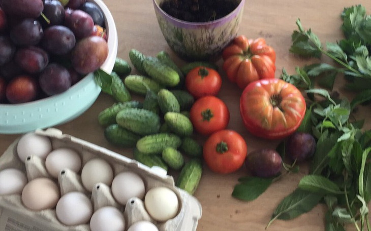 Zbiórka Marzenia Mamy -bar z obiadami - zdjęcie główne