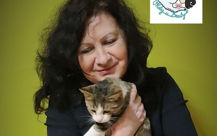 Zbiórka Na specjalne kocie potrzeby - zdjęcie główne