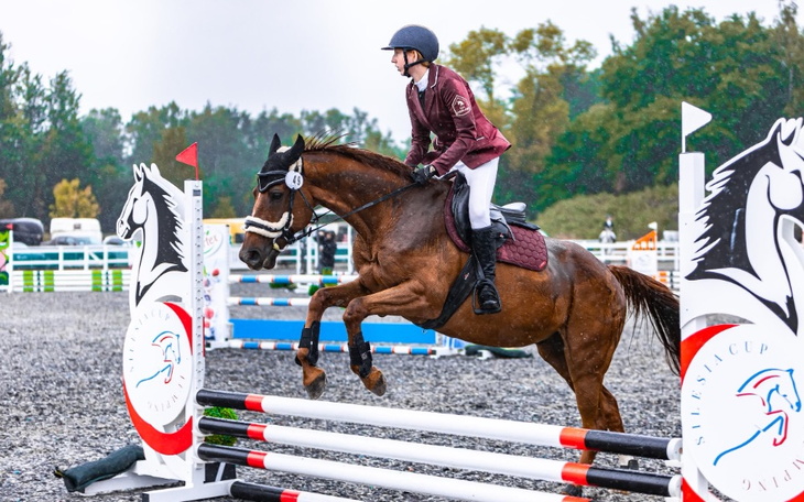 Zbiórka Kolejny raz nasz Dzikuś walczy - zdjęcie główne