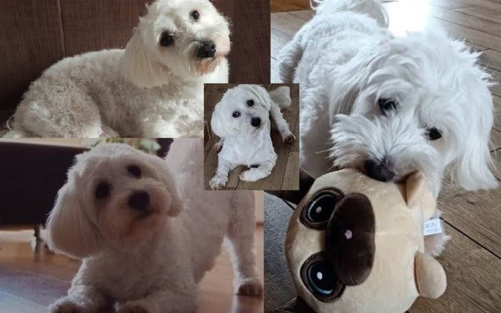 Zbiórka Pomoc dla Rika - zdjęcie główne