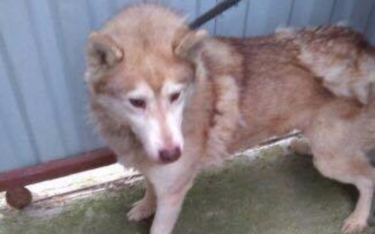 Zbiórka Zamiast numeru chce mieć  imię! - zdjęcie główne