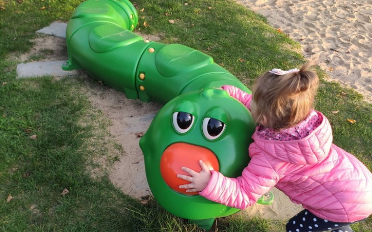Zbiórka Centrum życiowe - zdjęcie główne