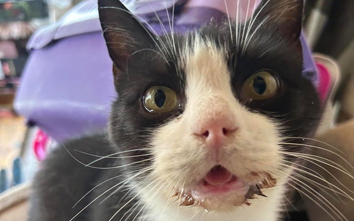 Zbiórka wielkanoc marzeń - zdjęcie główne