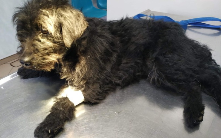 Zbiórka Bez Ciebie się nie uda... - zdjęcie główne