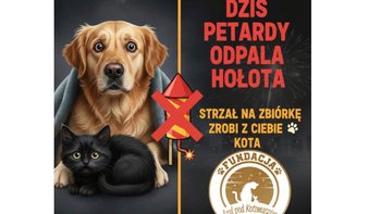 Zbiórka Petarda dla zwierzaka - miniaturka zdjęcia