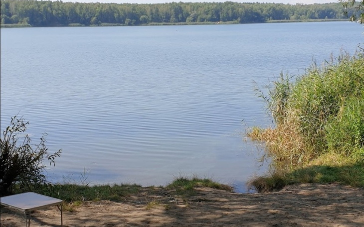 Spokojny widok na jezioro otoczone zielenią i drzewami.